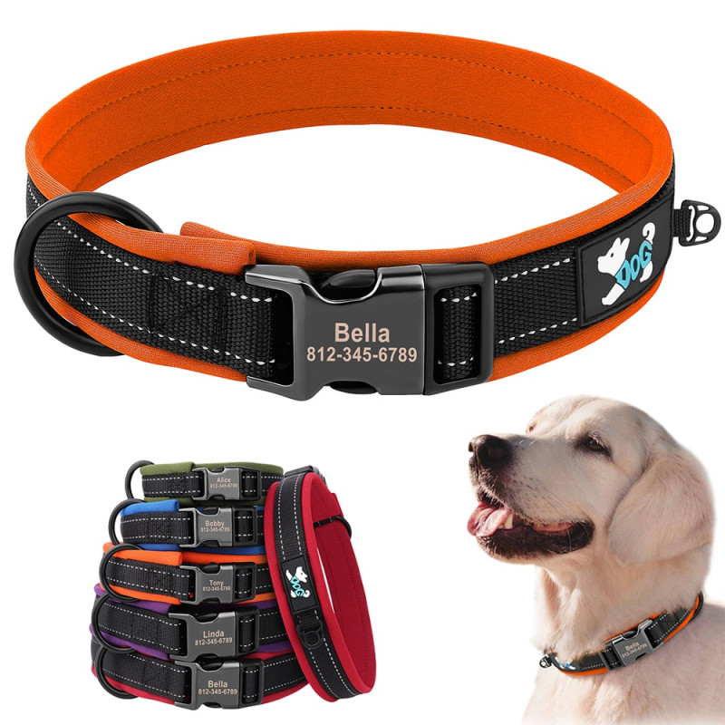 Personalized Adjustable Dog Collar: Reflective & Padded