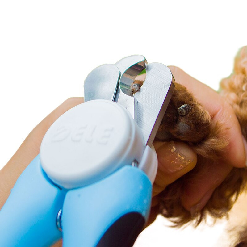 Stainless Steel Dog Nail Clipper - Toe Grooming Tool for Large Dogs